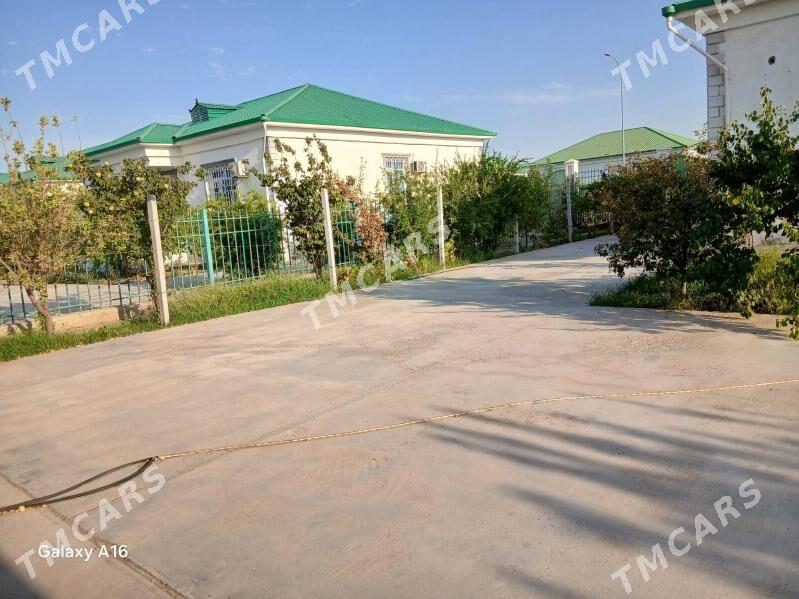 Täze zaman satlyk jaý  - Täze zaman - img 5