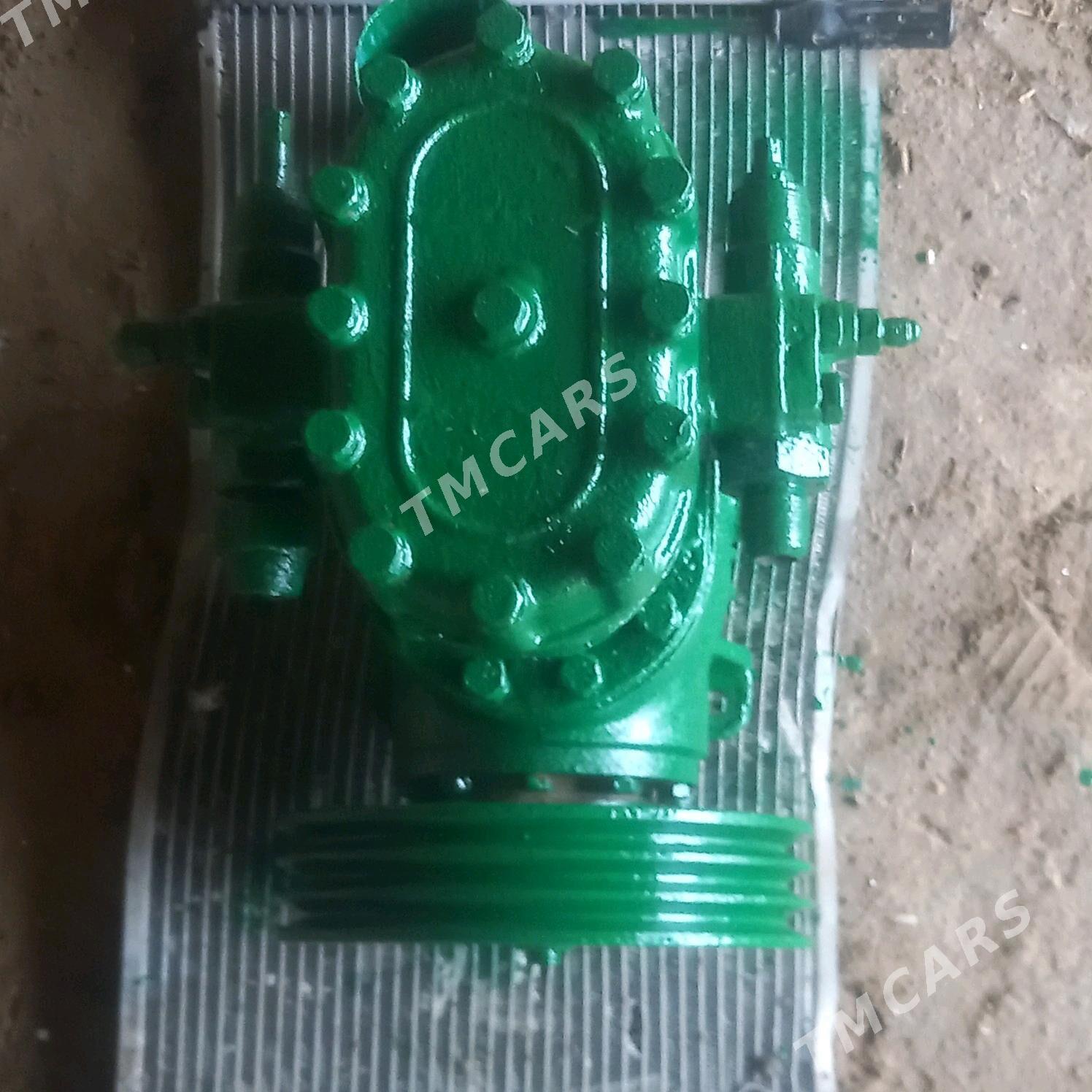 kampresar - Sakarçäge - img 2