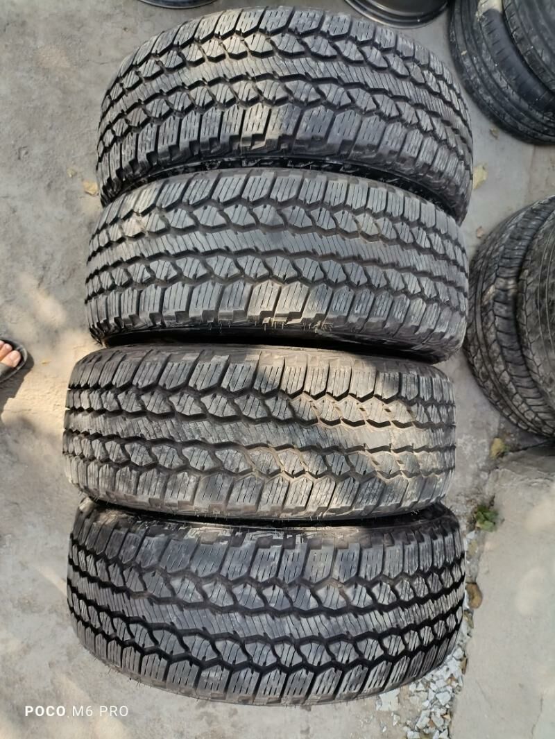 FIRESTONE 3 000 TMT - Bedew - img 3