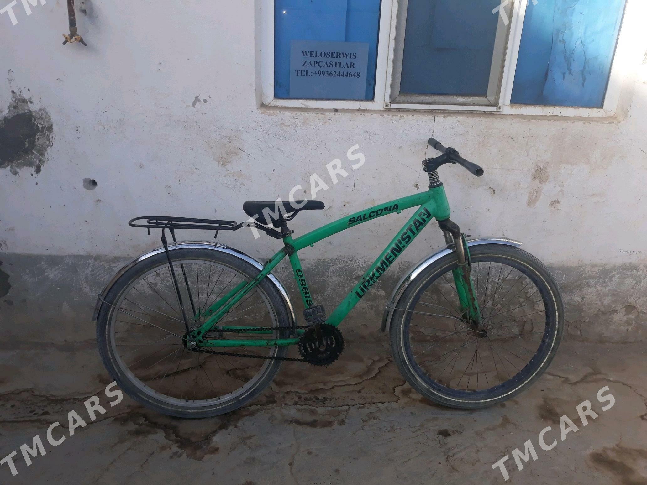 Satlyk Turkmenistan welik - Достлук - img 2