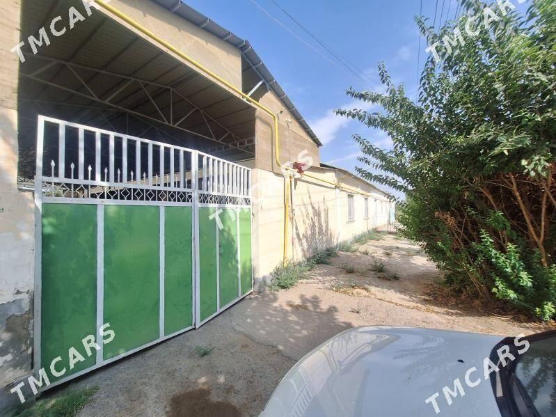 Şorda plan jaý 6sotok - Aşgabat - img 2