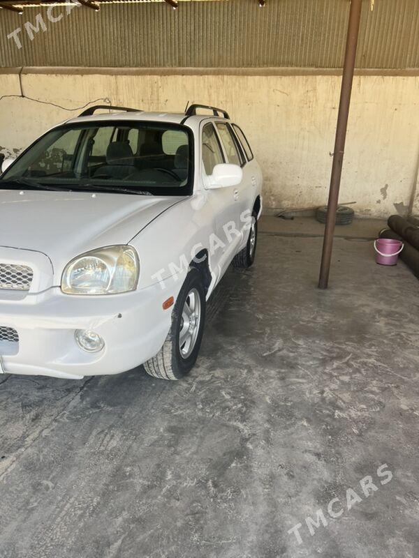 Hyundai Santa Fe 2004 - 80 000 TMT - Мургап - img 6