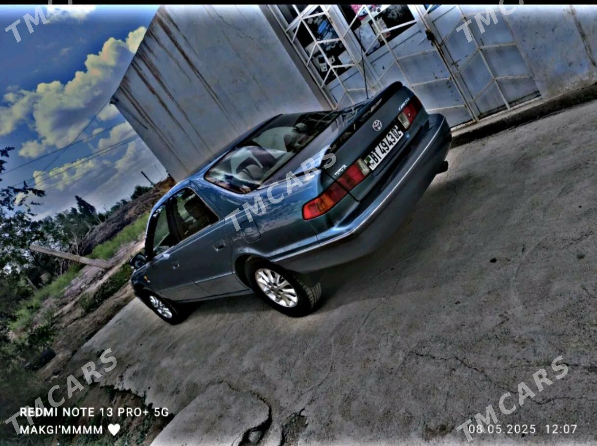 Toyota Camry 2000 - 145 000 TMT - Гурбансолтан Едже - img 5