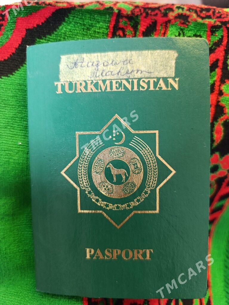 PASPORT - Кëши - img 2