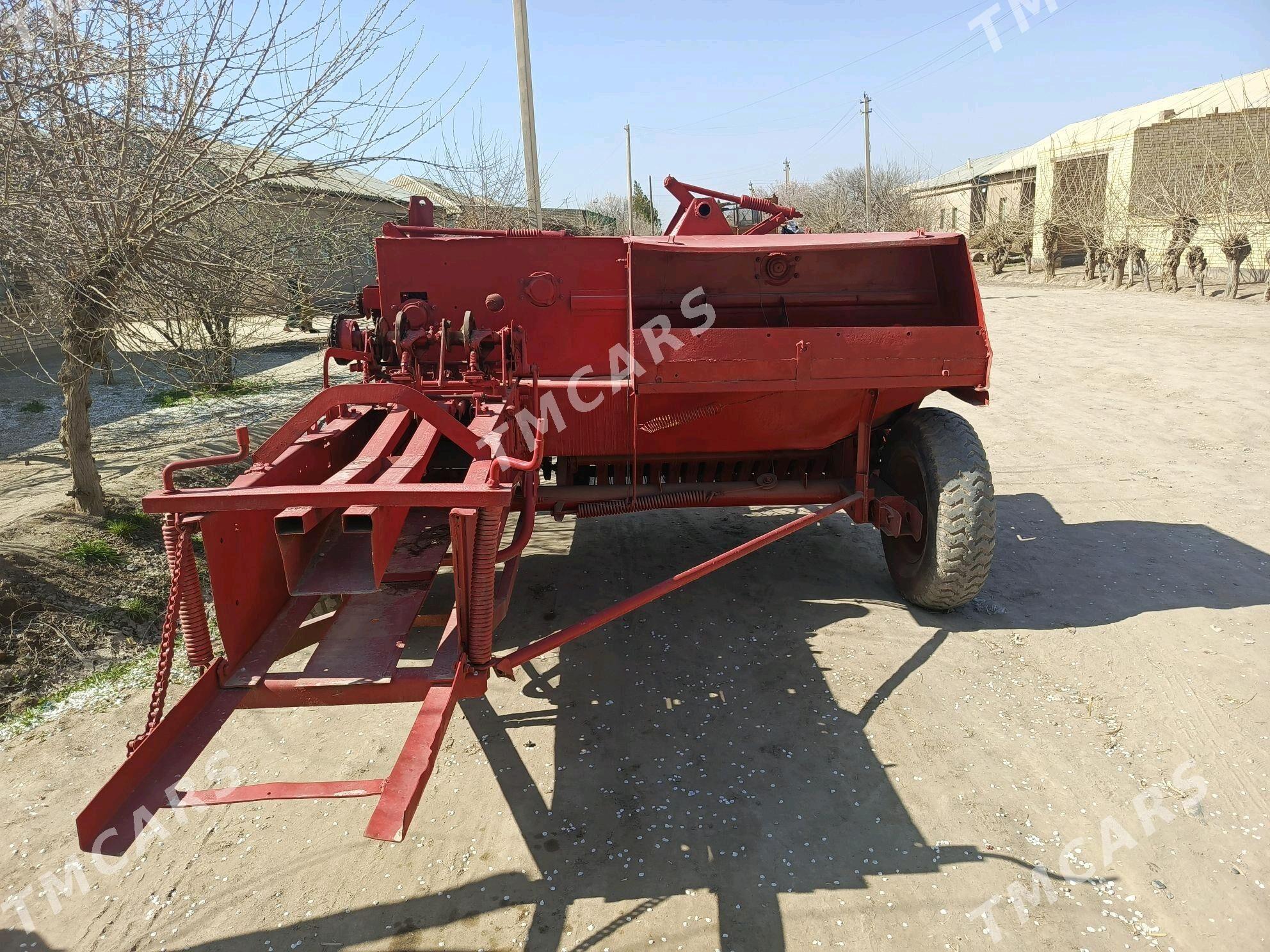 Gyrgyz ot bogÿan - Halaç - img 2