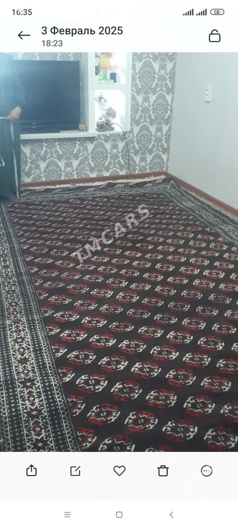 el haly - Мир 4 - img 2