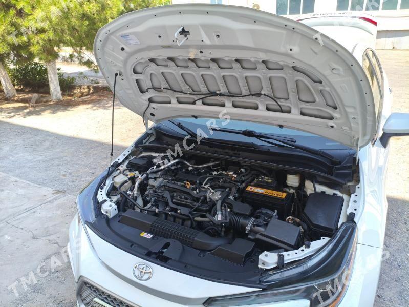 Toyota Corolla 2020 - 250 000 TMT - Türkmenabat - img 6
