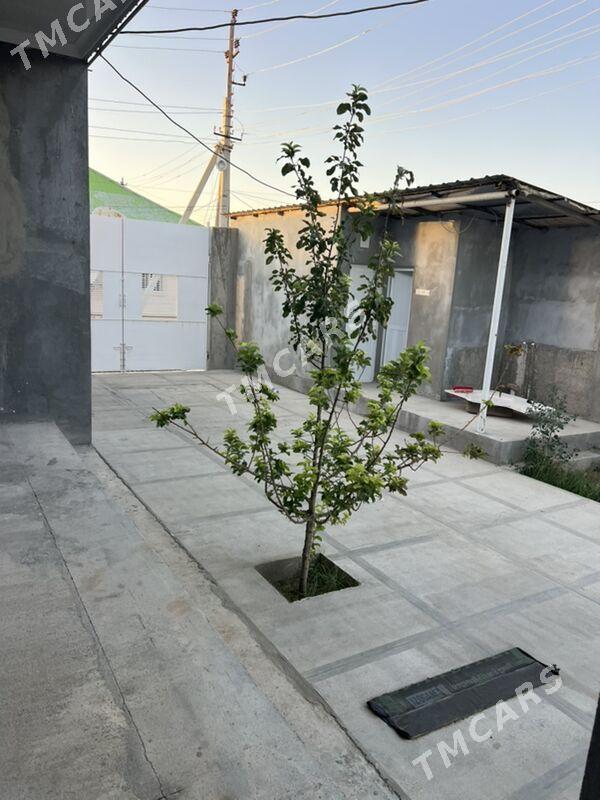 Arenda howly - Çoganly - img 3