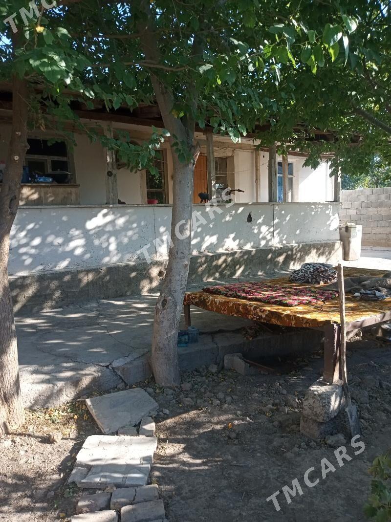 Еmlak Kreyine jaylar - Багир - img 3