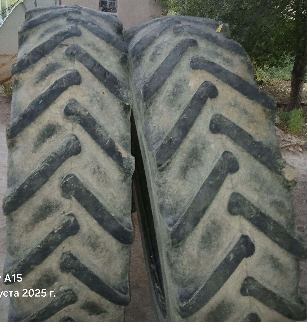 traktr teker 8 000 TMT - етр. Туркменбаши - img 3