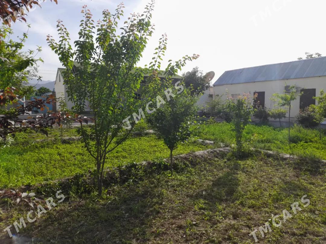 satlyk jaý - Bagyr - img 2