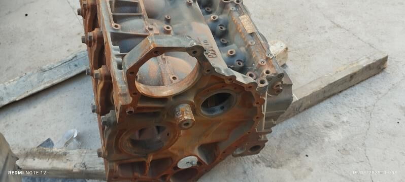 Daf 105 blok 10 000 TMT - Теджен - img 2