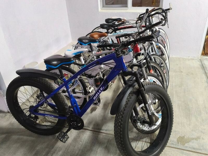 Sportiwny tigir - Чоганлы - img 5