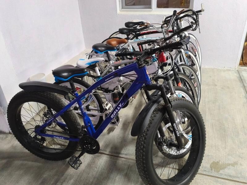 Sportiwny tigir - Чоганлы - img 5