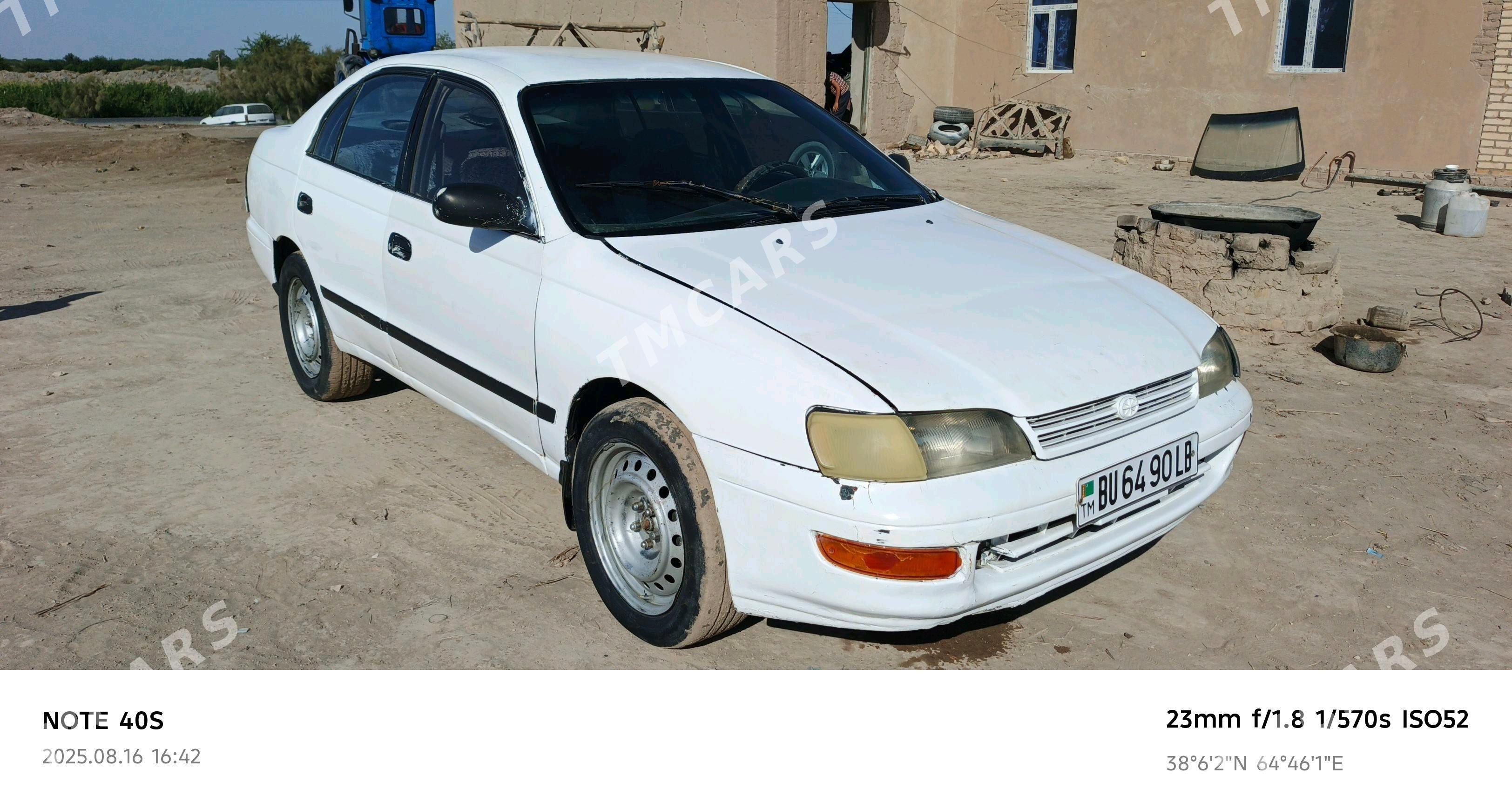 Toyota Corona 1993 - 25 000 TMT - Halaç - img 2