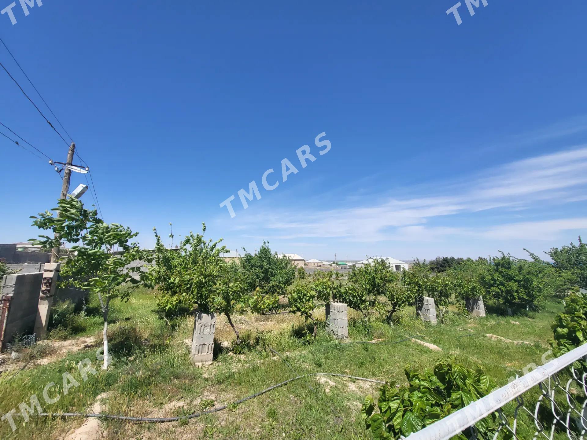 Gökdepe 25sotka 4kom plan - Гёкдепе - img 8