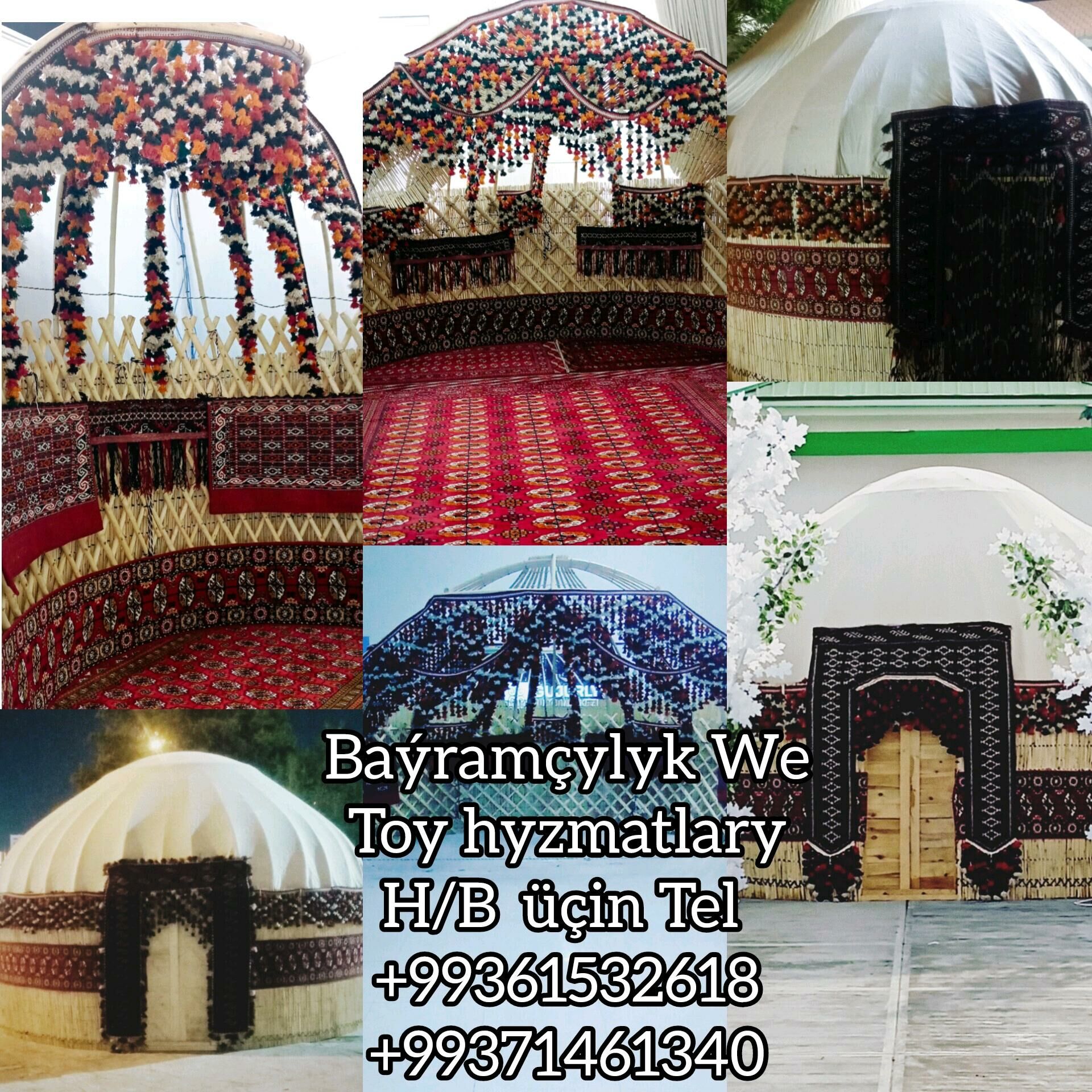 AK öý gara öy gamyş - Анев - img 6