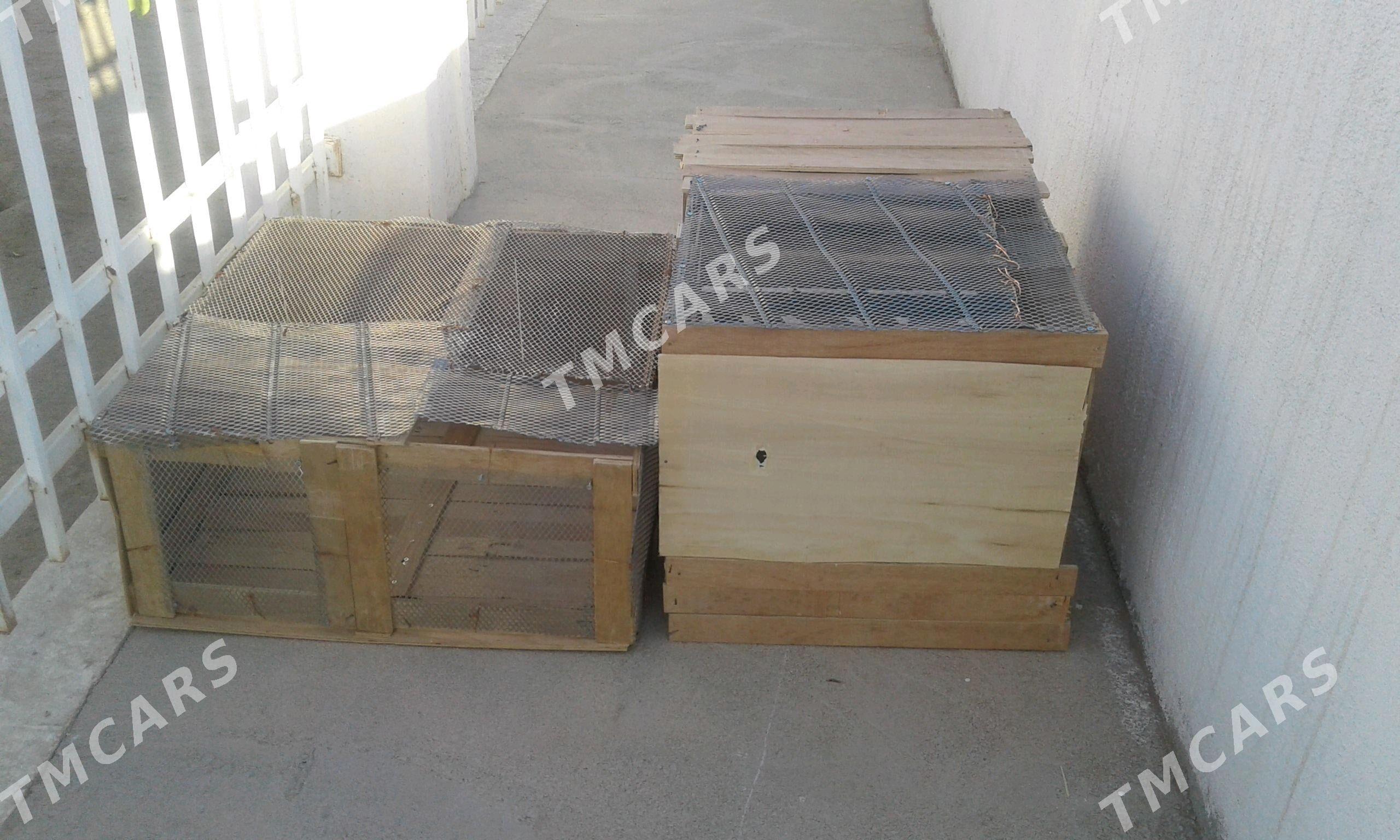 jùýje ketek - Aşgabat - img 3