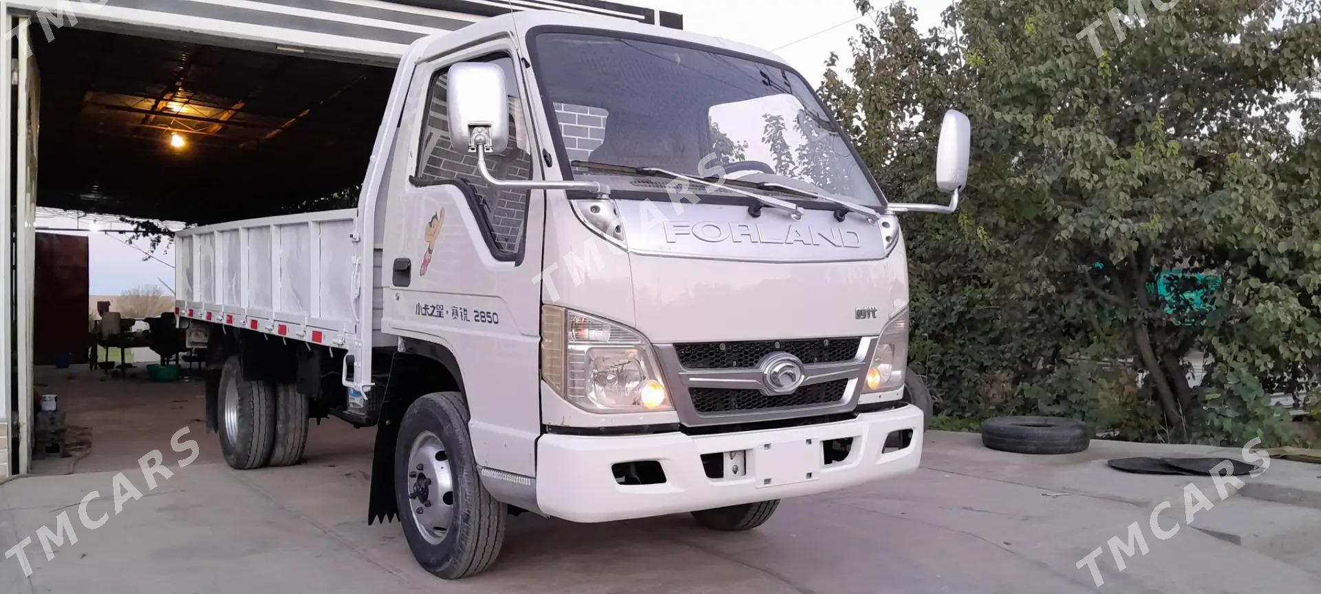 Forland H3 2010 - 70 000 TMT - Farap - img 5