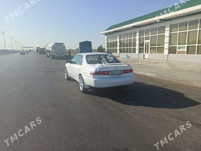 Toyota Camry 2001 - 107 000 TMT - Murgap - img 3