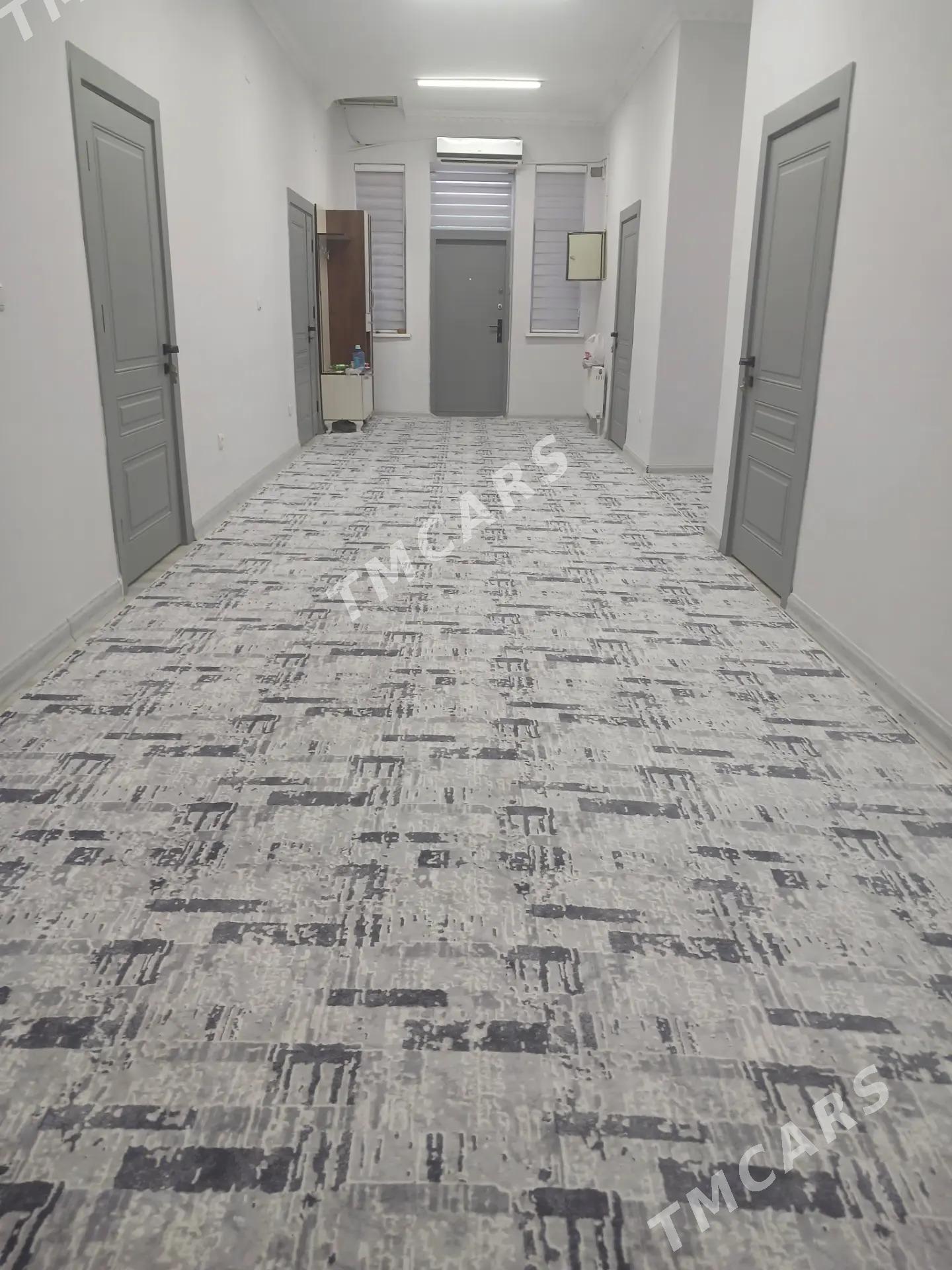 Taze zaman 8 sot 5 kom - Тязе заман - img 9