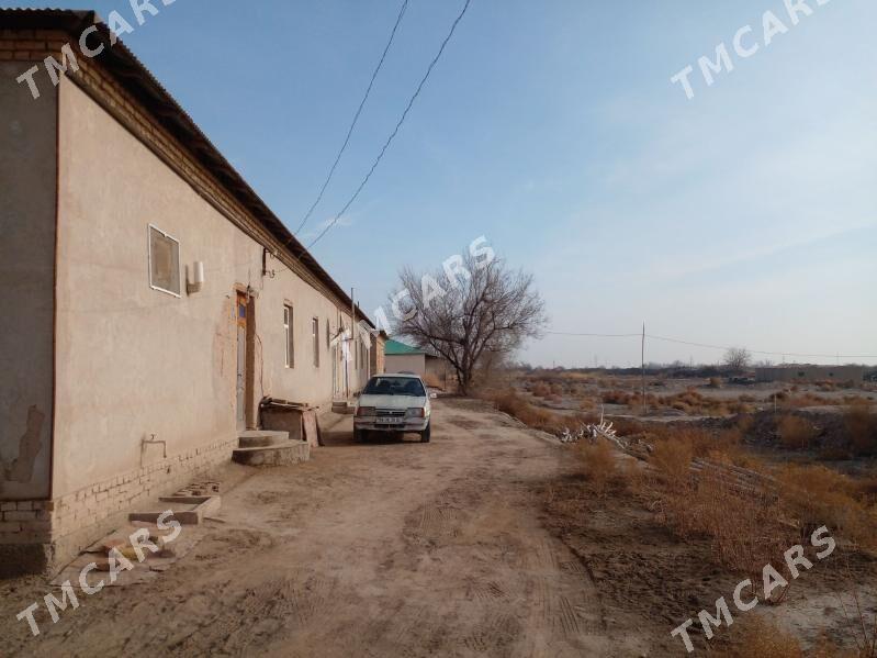 ucaska - Дашогуз - img 5