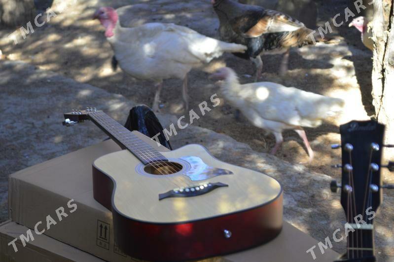 PAKET KOMPLEKT AKUSTİK GİTARA - Aşgabat - img 2