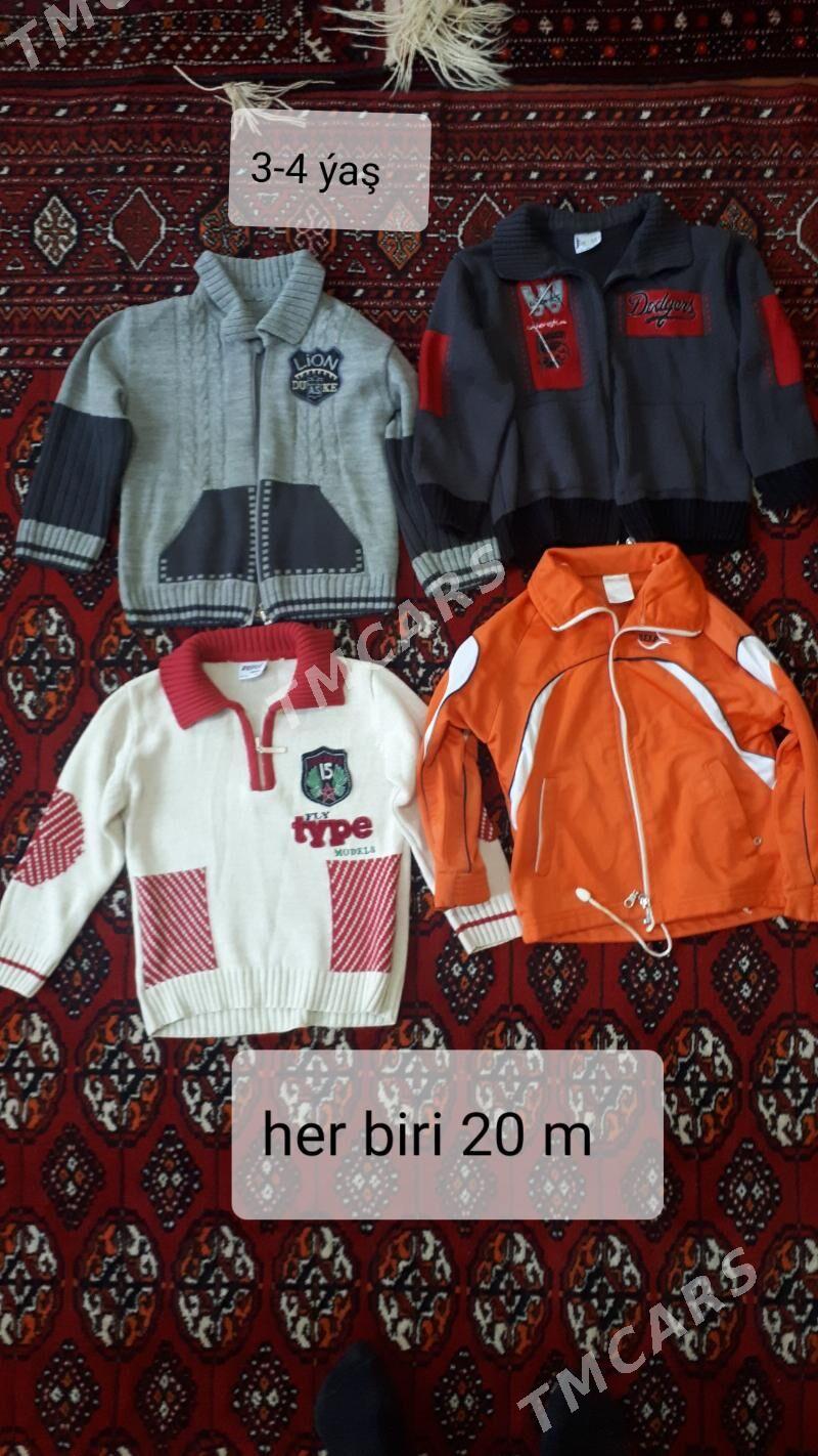 çaga egin-eşikleri - Дашогуз - img 4