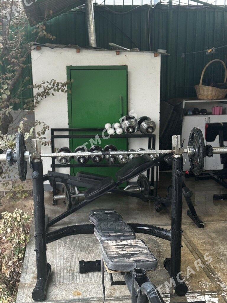 Sport harytlary - Тязе заман - img 2
