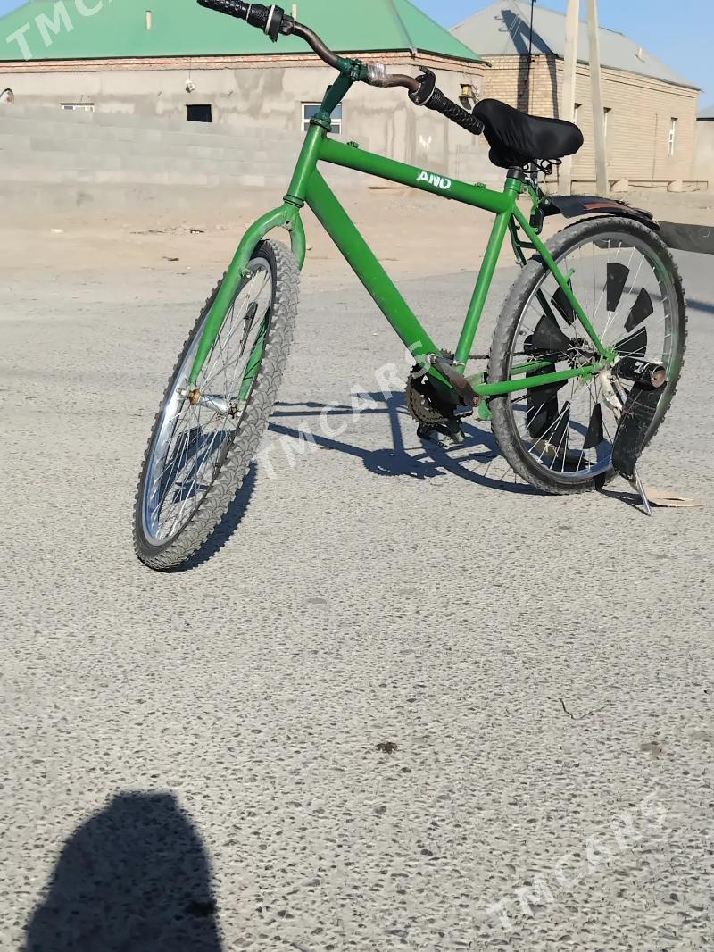 Turkmenistan tigir - Bäherden - img 2