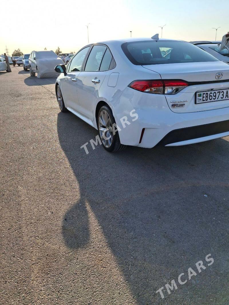 Toyota Corolla 2020 - 254 000 TMT - Ашхабад - img 7