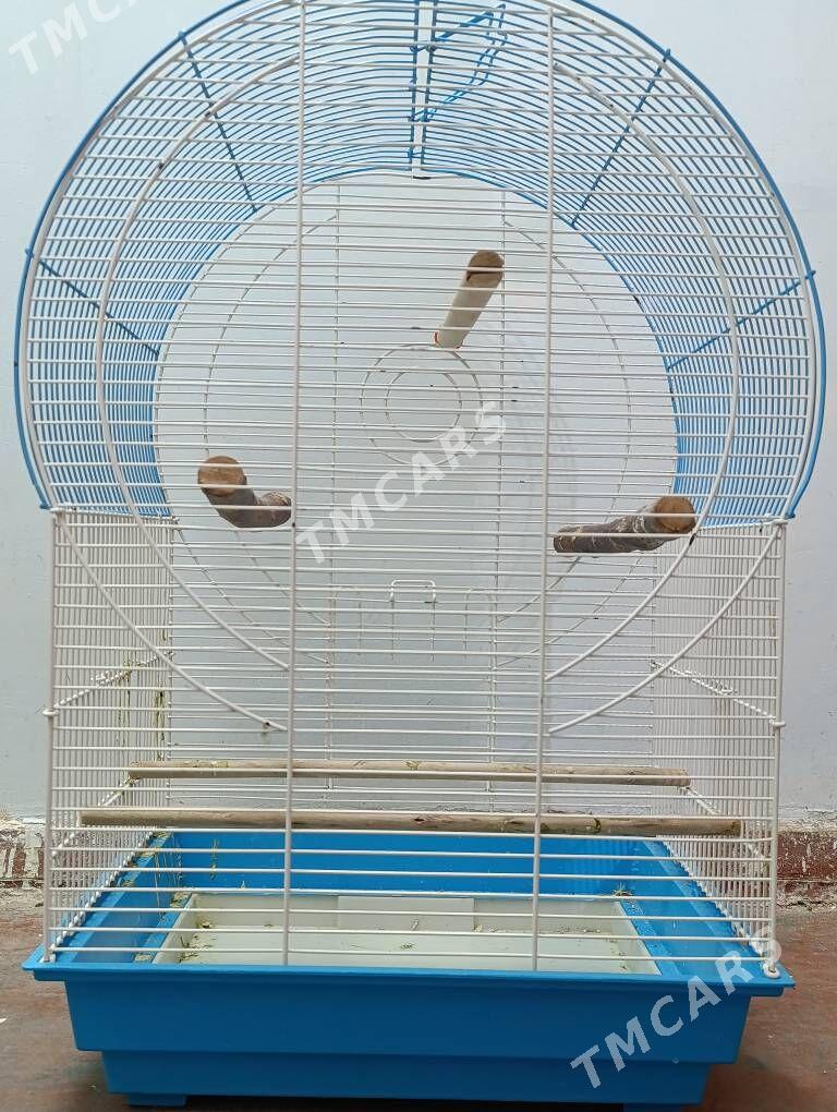 Клетка большая - Aşgabat - img 3