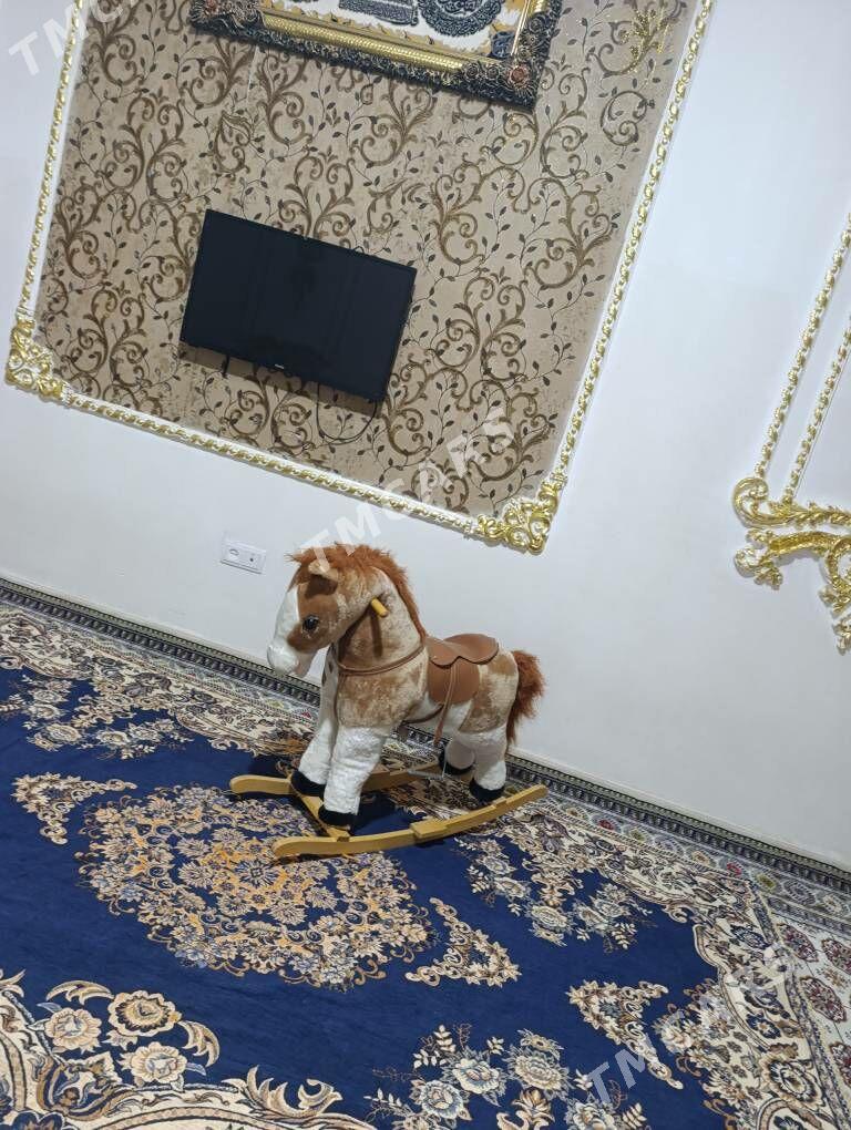 лошадка kacalka - Aşgabat - img 3