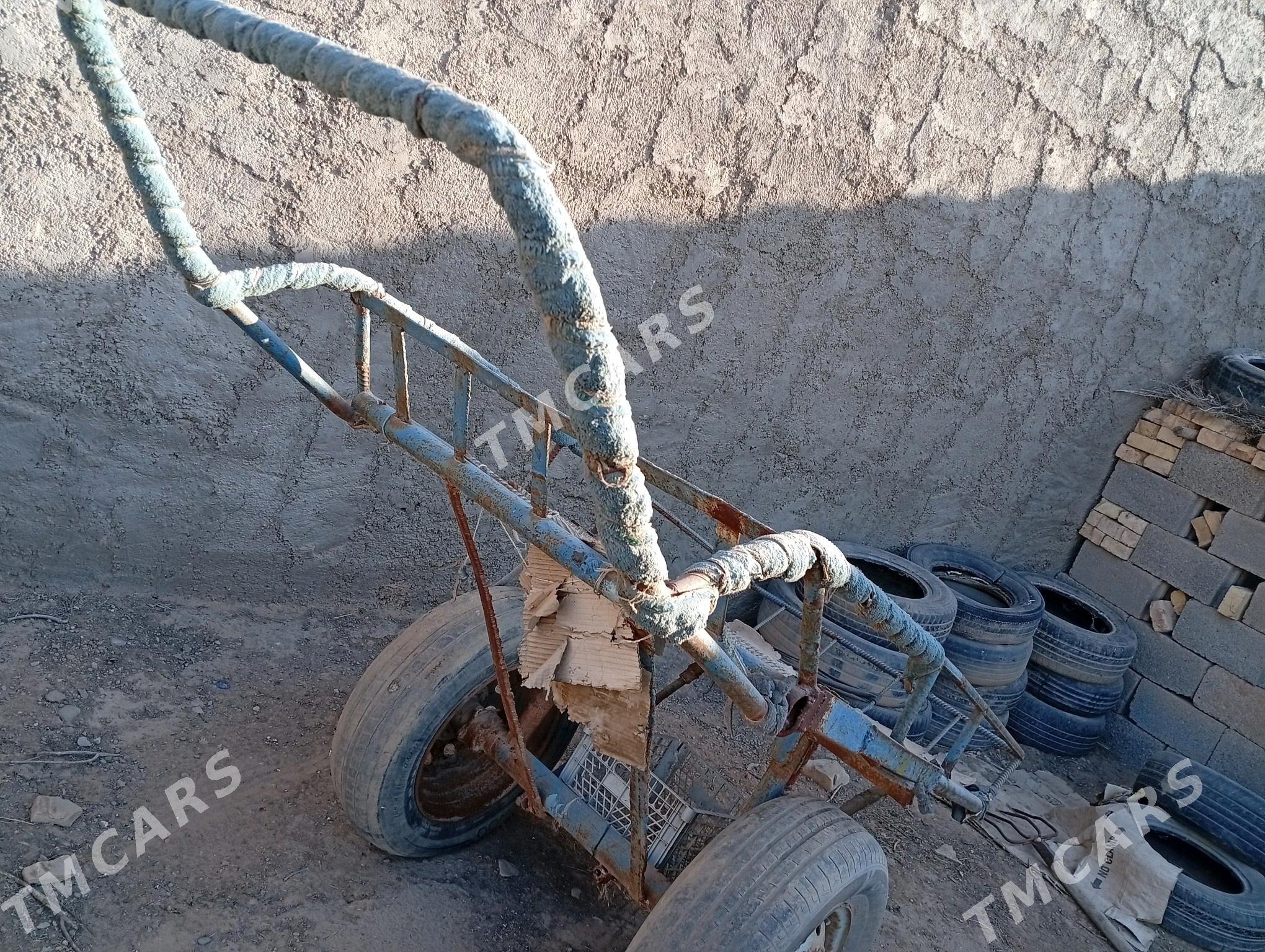 ARABA  GALTAK - Tejen - img 5