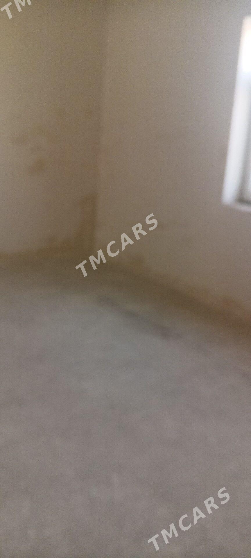 sklat ammar - Ak bugdaý etraby - img 2
