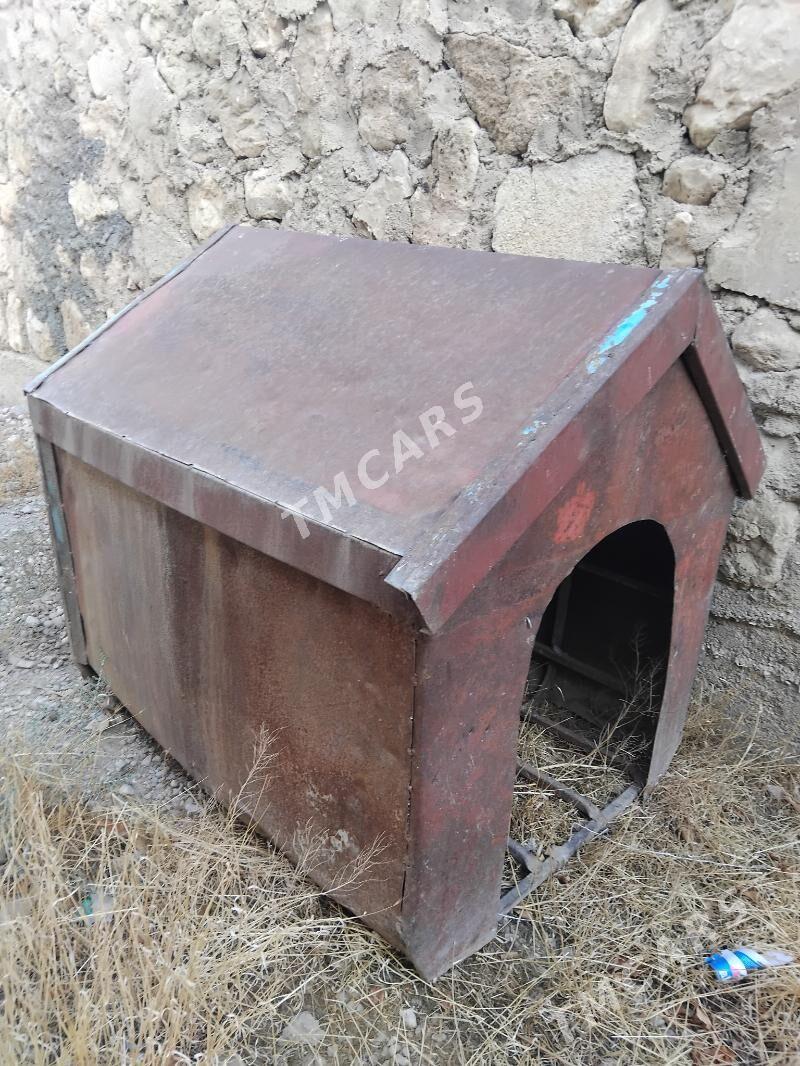 it ketek - Balkanabat - img 2