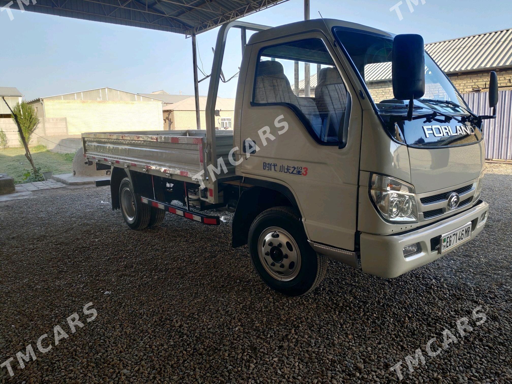 Forland H2 2014 - 105 000 TMT - Мары - img 7