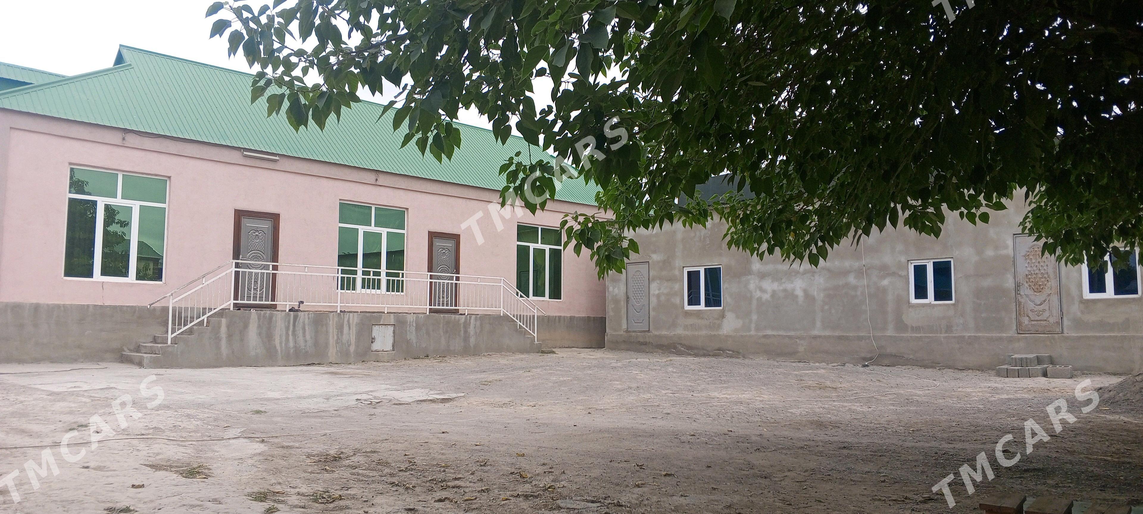 bagyr mirewe jaý - Bagyr - img 2