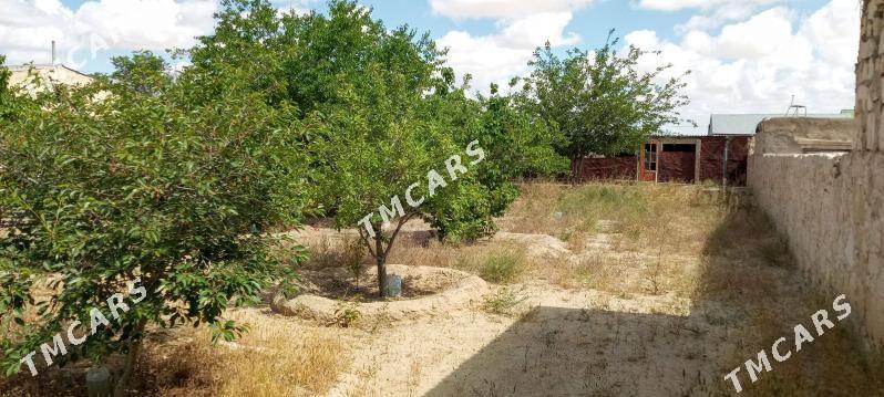 Obmen Satlyk Kožmanda - Türkmenbaşy - img 9