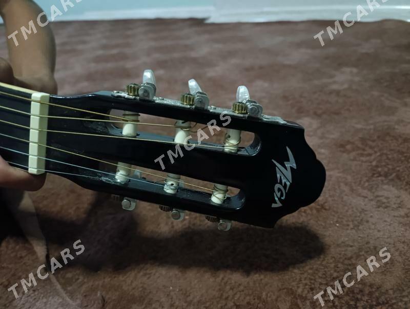 Gitara - Саят - img 4