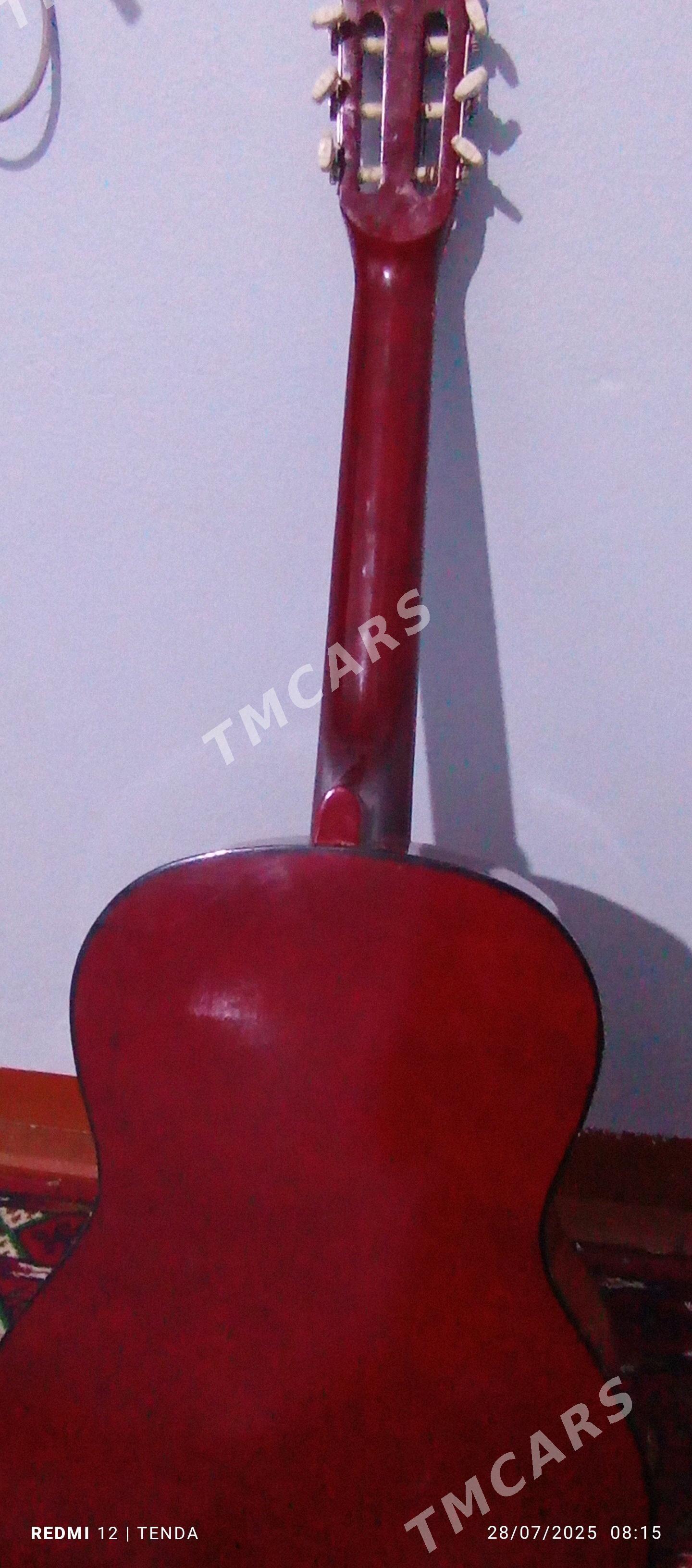 gitara - Halaç - img 4
