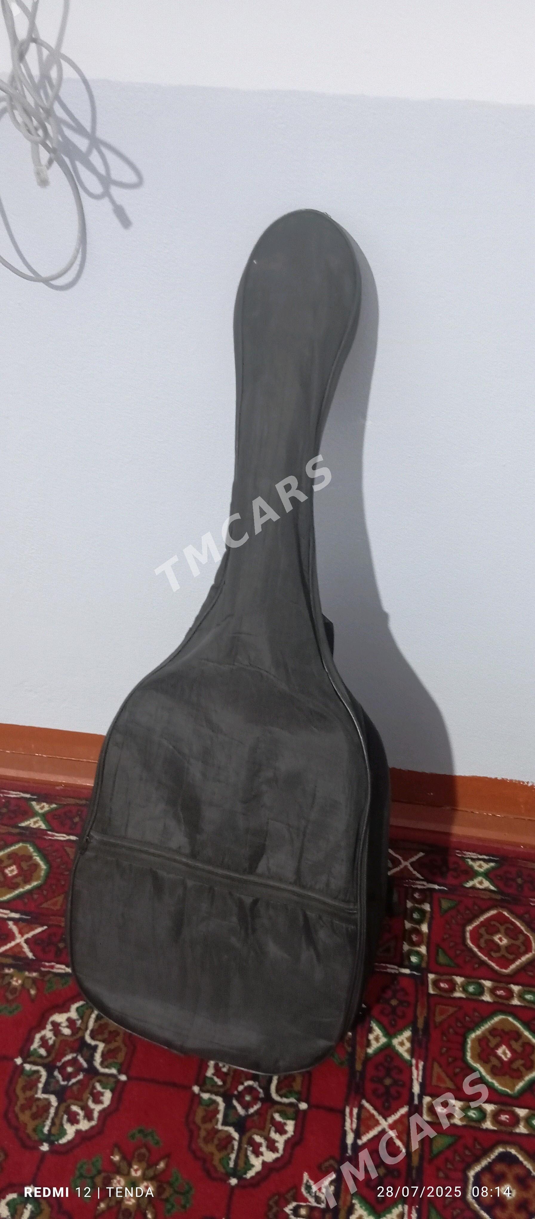 gitara - Halaç - img 5