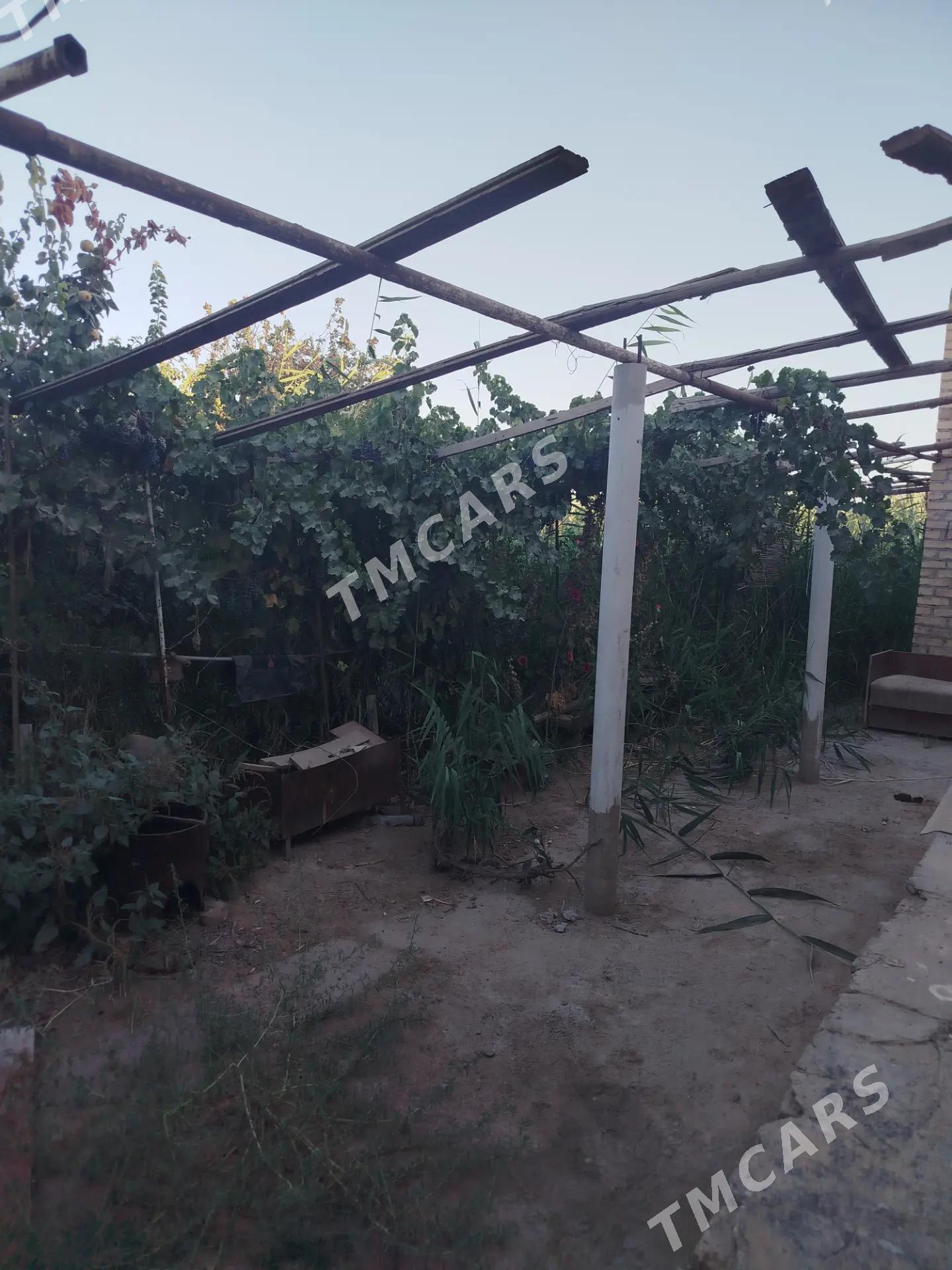 Daca satlyk - Türkmenabat - img 3