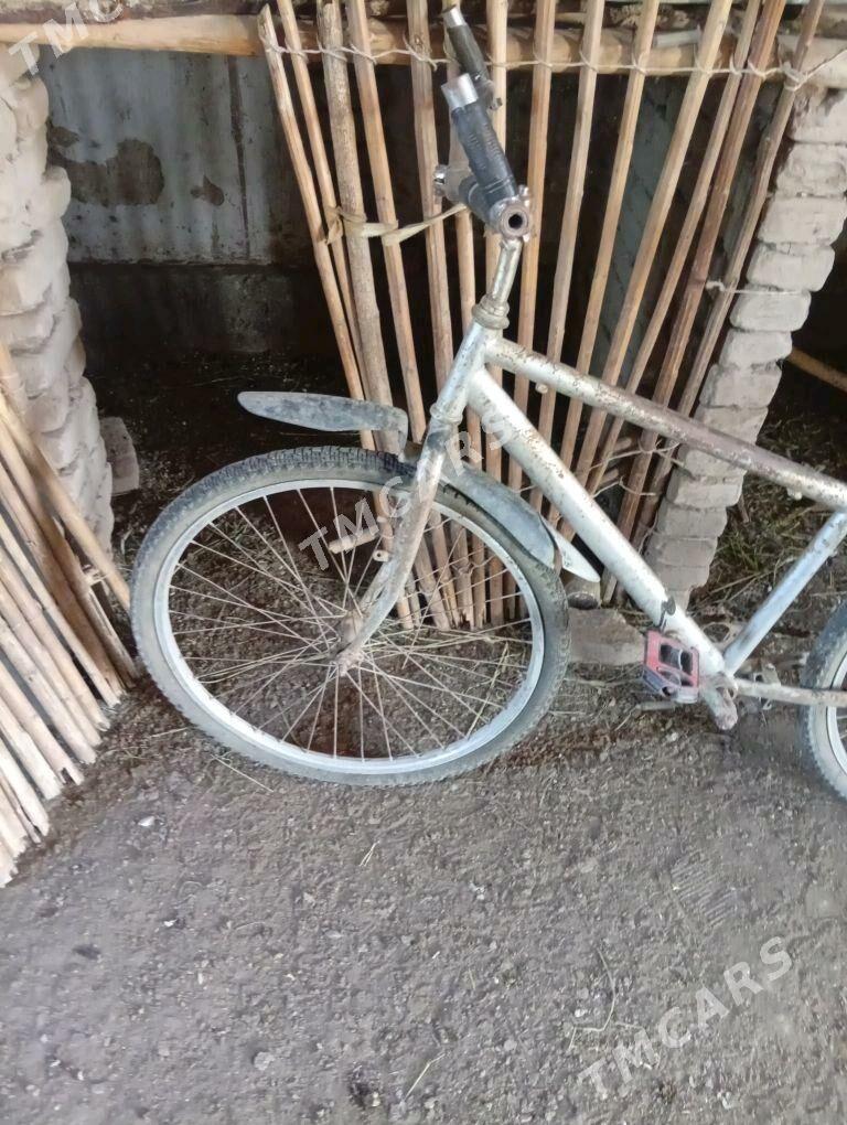 welik - Şabat etr. - img 2