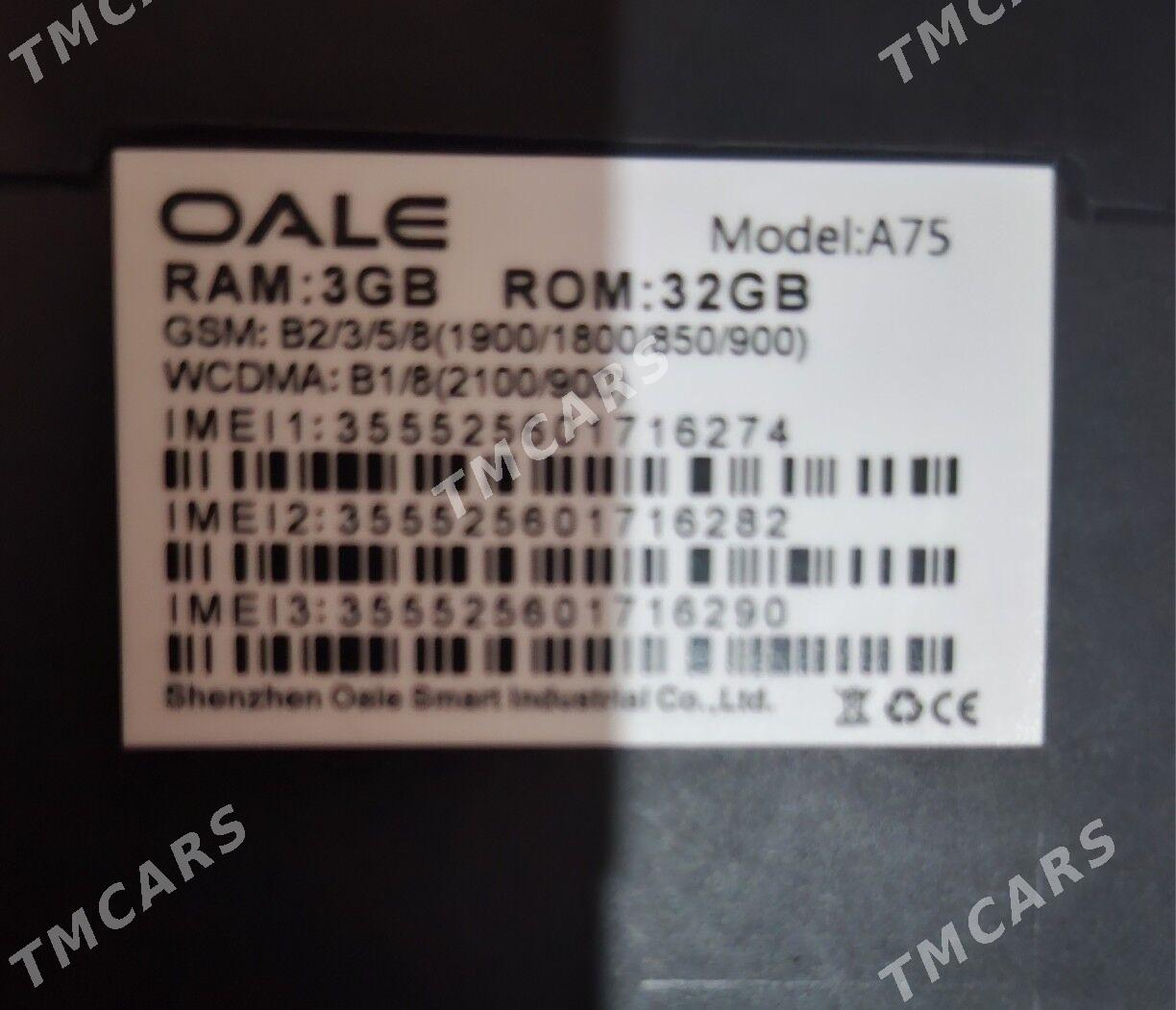 oale a75 - Дашогуз - img 3