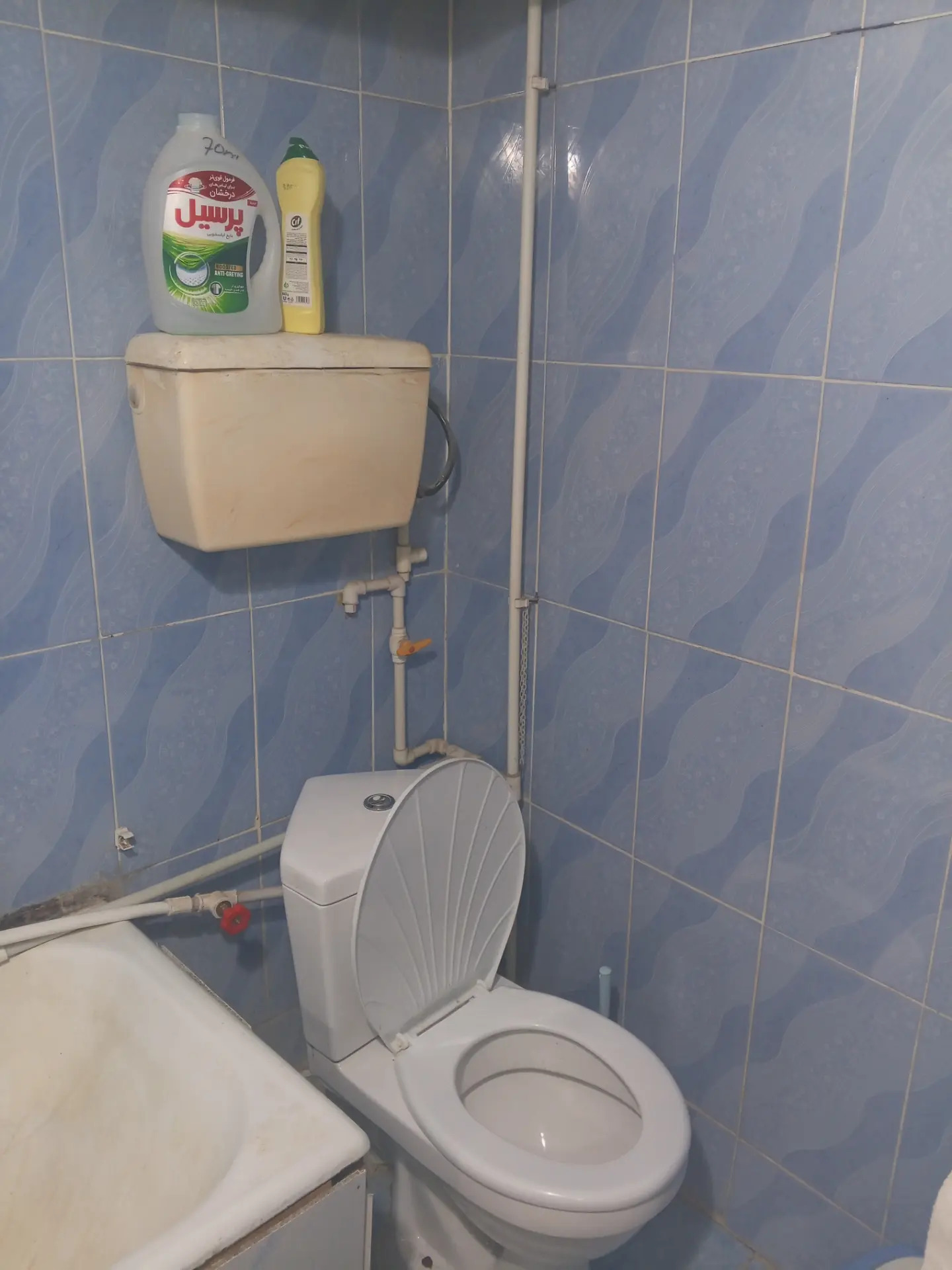 KİREÝNE JAÝ - Balkanabat - img 3