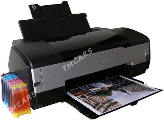 Epson 1410 - Mary - img 2