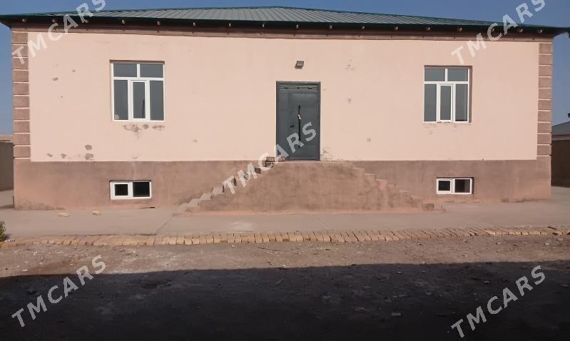 satlyk jay - Daşoguz - img 2