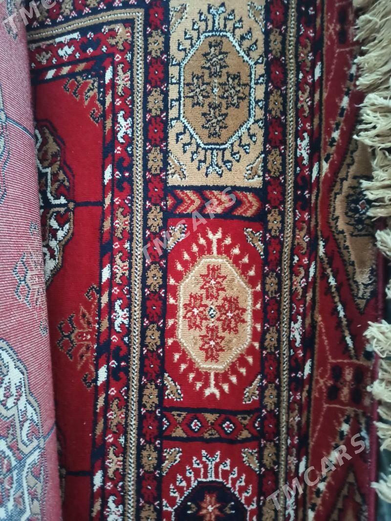 TÜRKÜÑ HALYLARY - Сакарчага - img 2