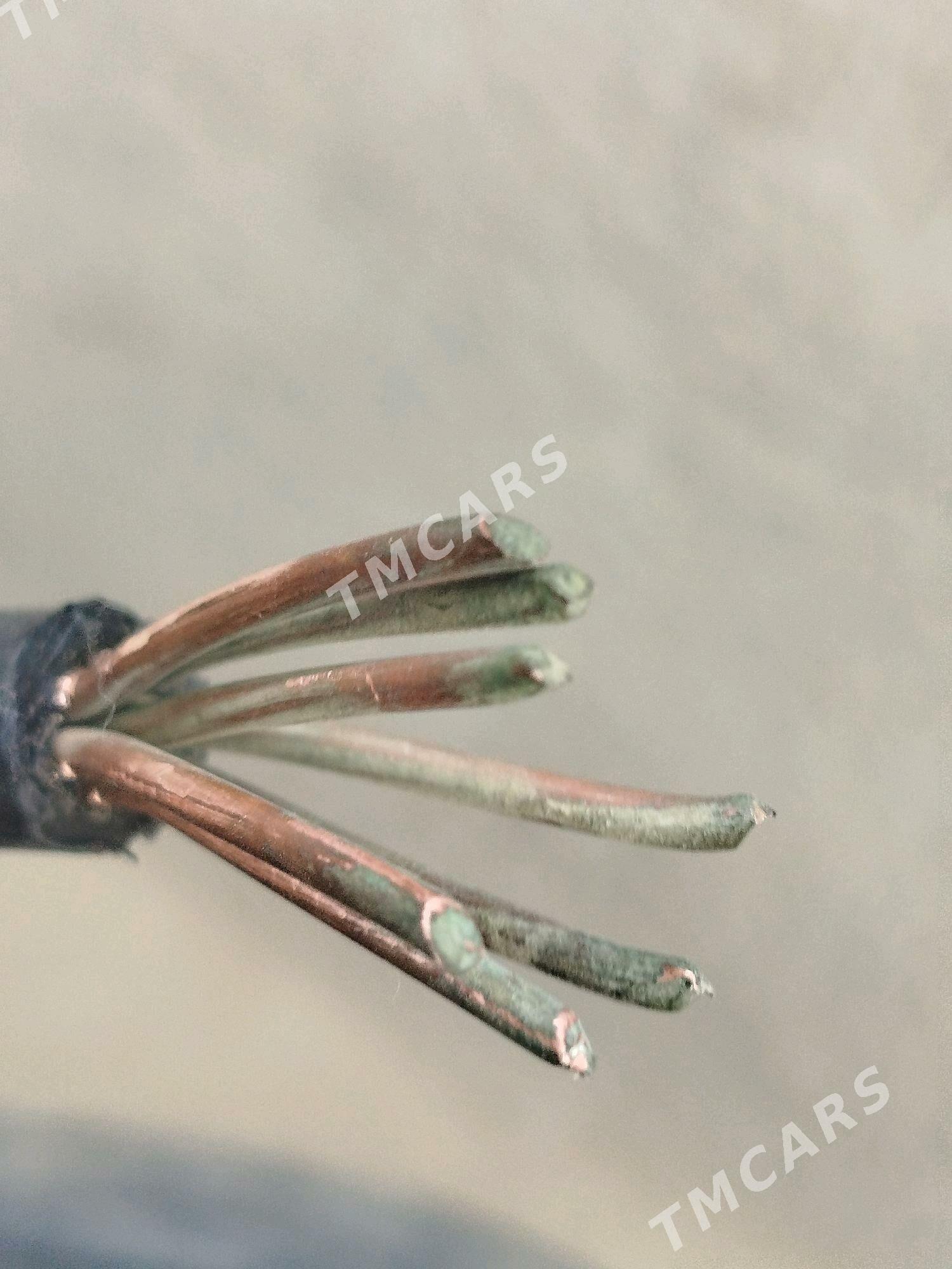 Miys kabel - Bäherden - img 3